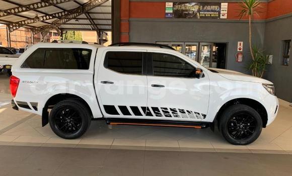 Buy Used Nissan Navara White Car in Windhoek in Namibia Buy Used Nissan Navara White Car in Windhoek in Namibia