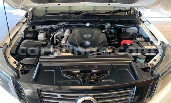 Buy Used Nissan Navara White Car in Windhoek in Namibia Buy Used Nissan Navara White Car in Windhoek in Namibia