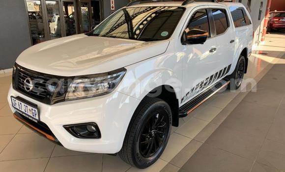 Buy Used Nissan Navara White Car in Windhoek in Namibia Buy Used Nissan Navara White Car in Windhoek in Namibia