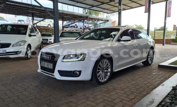 Buy Used Audi A5 White Car in Otavi in Oshikoto Buy Used Audi A5 White Car in Otavi in Oshikoto