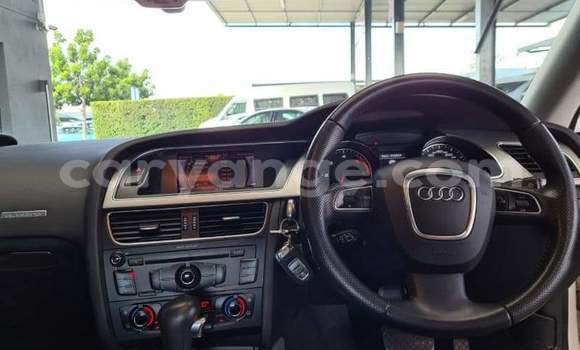 Buy Used Audi A5 White Car in Otavi in Oshikoto Buy Used Audi A5 White Car in Otavi in Oshikoto