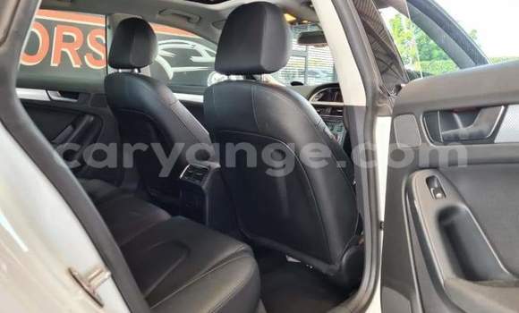 Buy Used Audi A5 White Car in Otavi in Oshikoto Buy Used Audi A5 White Car in Otavi in Oshikoto