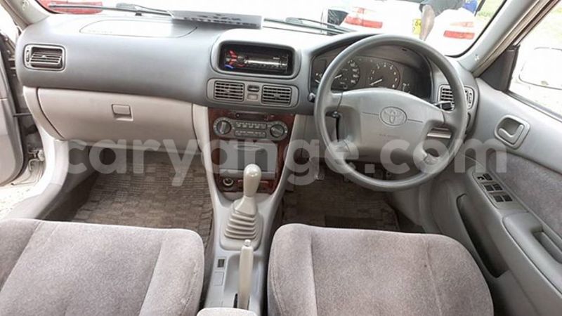 Big with watermark 12715376 541172722726382 4508479281230202144 n