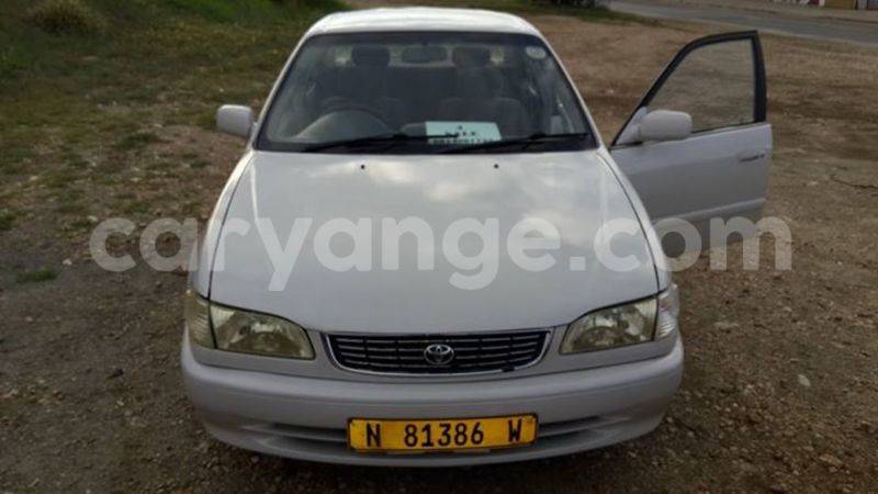 Big with watermark 12718339 541172866059701 8457180142992640981 n