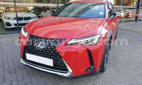 Buy Used Lexus UX Red Car in Windhoek in Namibia Buy Used Lexus UX Red Car in Windhoek in Namibia