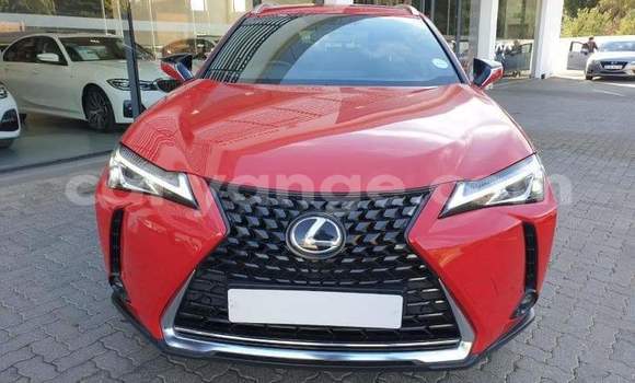 Buy Used Lexus UX Red Car in Windhoek in Namibia Buy Used Lexus UX Red Car in Windhoek in Namibia