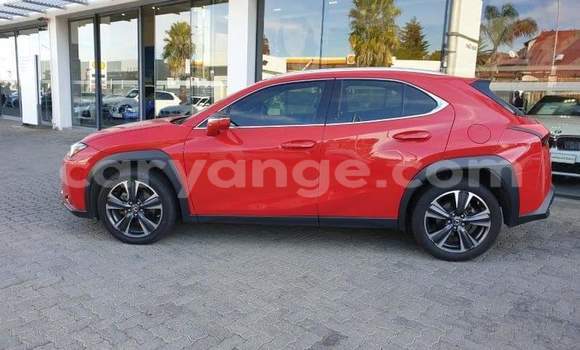 Buy Used Lexus UX Red Car in Windhoek in Namibia Buy Used Lexus UX Red Car in Windhoek in Namibia