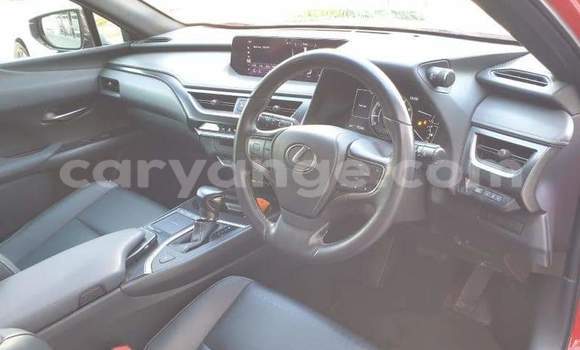 Buy Used Lexus UX Red Car in Windhoek in Namibia Buy Used Lexus UX Red Car in Windhoek in Namibia