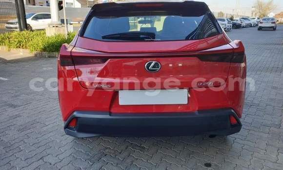 Buy Used Lexus UX Red Car in Windhoek in Namibia Buy Used Lexus UX Red Car in Windhoek in Namibia