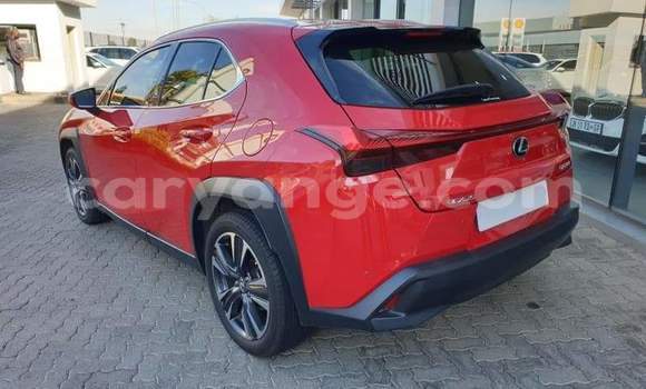 Buy Used Lexus UX Red Car in Windhoek in Namibia Buy Used Lexus UX Red Car in Windhoek in Namibia