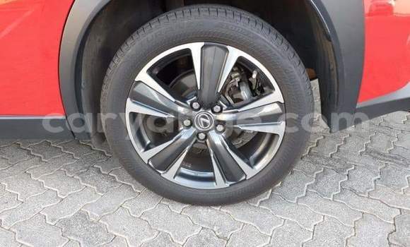 Buy Used Lexus UX Red Car in Windhoek in Namibia Buy Used Lexus UX Red Car in Windhoek in Namibia