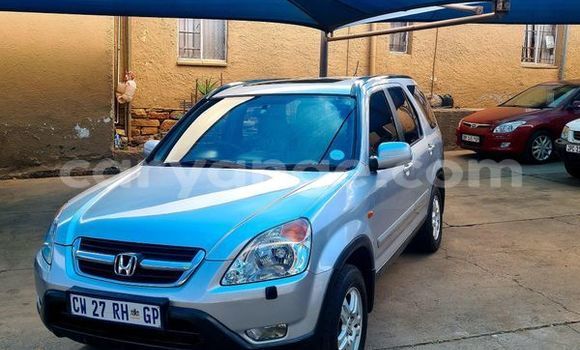 Buy Used Honda CR–V Silver Car in Windhoek in Namibia Buy Used Honda CR–V Silver Car in Windhoek in Namibia