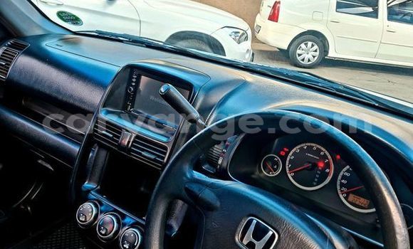 Buy Used Honda CR–V Silver Car in Windhoek in Namibia Buy Used Honda CR–V Silver Car in Windhoek in Namibia