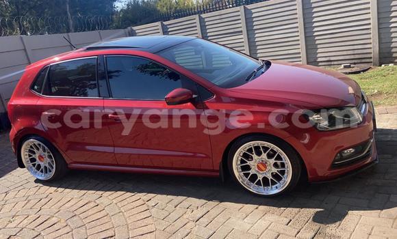 Buy Used Volkswagen Polo Red Car in Katima Mulilo in Caprivi Buy Used Volkswagen Polo Red Car in Katima Mulilo in Caprivi