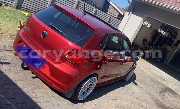 Buy Used Volkswagen Polo Red Car in Katima Mulilo in Caprivi Buy Used Volkswagen Polo Red Car in Katima Mulilo in Caprivi