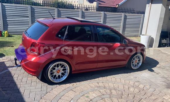 Buy Used Volkswagen Polo Red Car in Katima Mulilo in Caprivi Buy Used Volkswagen Polo Red Car in Katima Mulilo in Caprivi