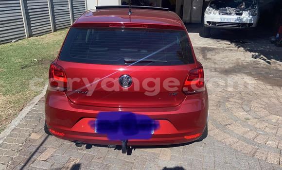 Buy Used Volkswagen Polo Red Car in Katima Mulilo in Caprivi Buy Used Volkswagen Polo Red Car in Katima Mulilo in Caprivi