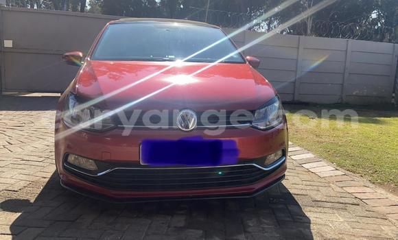Buy Used Volkswagen Polo Red Car in Katima Mulilo in Caprivi Buy Used Volkswagen Polo Red Car in Katima Mulilo in Caprivi
