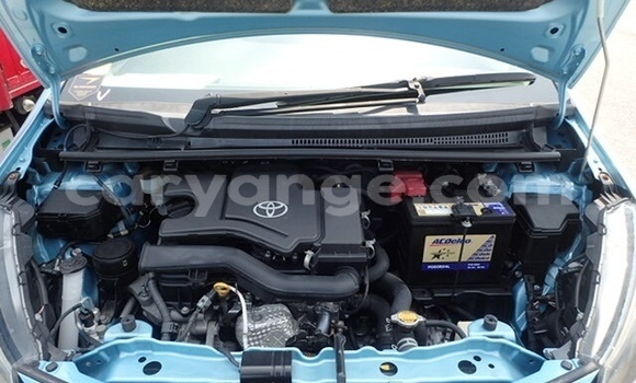 Buy Used Toyota Vitz Blue Car in Katima Mulilo in Caprivi Buy Used Toyota Vitz Blue Car in Katima Mulilo in Caprivi