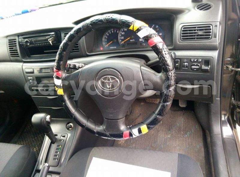 Big with watermark 13394146 1811575745743219 2339302236089683257 n