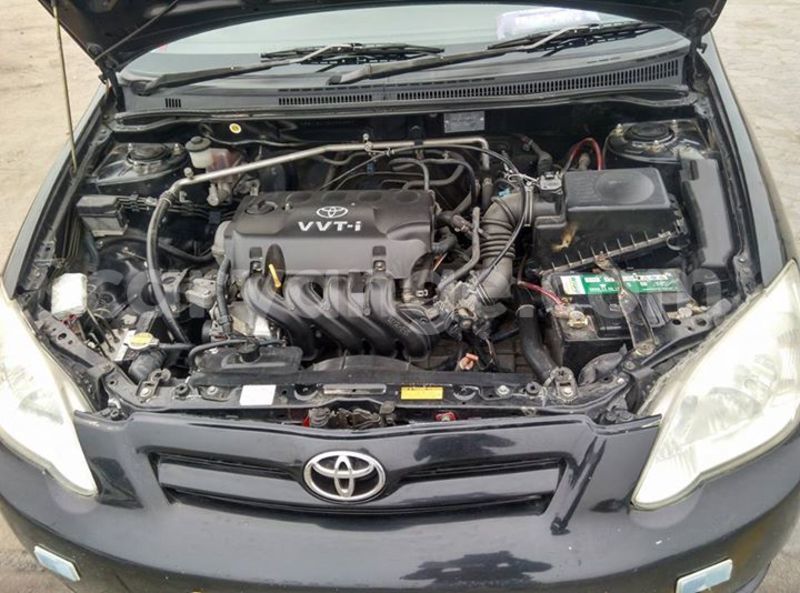 Big with watermark 13423804 1811575905743203 7124351437945505538 n