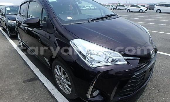 Buy Used Toyota Vitz Other Car in Windhoek in Namibia