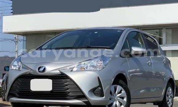Buy Used Toyota Vitz Silver Car in Windhoek in Namibia