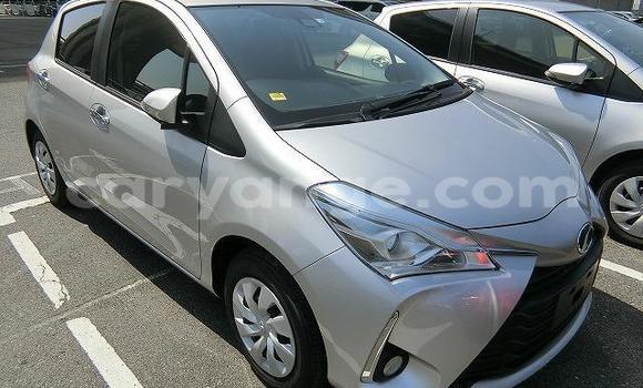 Buy Used Toyota Vitz Silver Car in Windhoek in Namibia