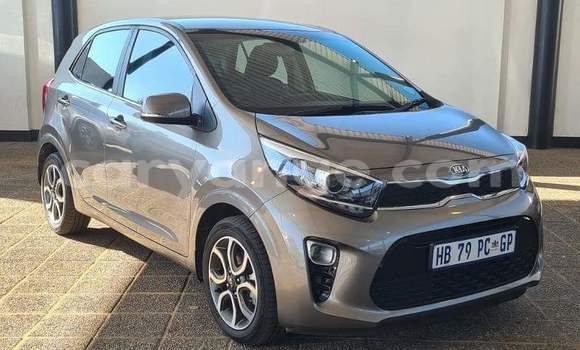 Buy Used Kia Picanto Silver Car in Windhoek in Namibia