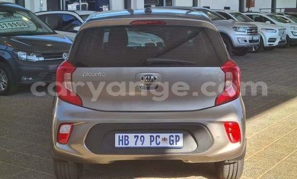 Buy Used Kia Picanto Silver Car in Windhoek in Namibia Buy Used Kia Picanto Silver Car in Windhoek in Namibia