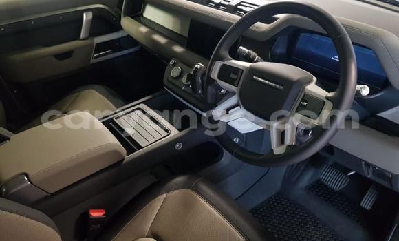 Acheter Occasion Voiture Land Rover Defender Beige à Karasburg, Karas Acheter Occasion Voiture Land Rover Defender Beige à Karasburg, Karas