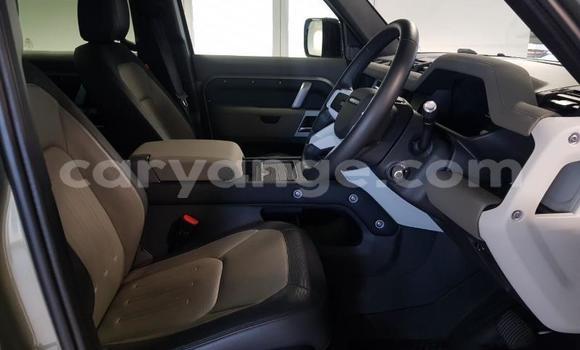 Acheter Occasion Voiture Land Rover Defender Beige à Karasburg, Karas Acheter Occasion Voiture Land Rover Defender Beige à Karasburg, Karas