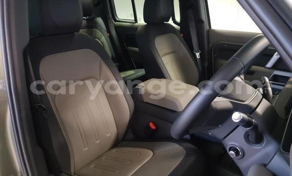 Acheter Occasion Voiture Land Rover Defender Beige à Karasburg, Karas Acheter Occasion Voiture Land Rover Defender Beige à Karasburg, Karas