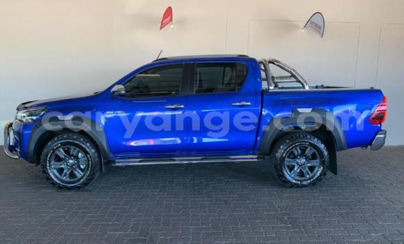 Buy Used Toyota Hilux Blue Car in Grootfontein in Namibia