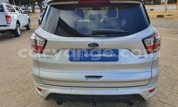 Acheter Occasion Voiture Ford Kuga Gris à Windhoek, Namibie Acheter Occasion Voiture Ford Kuga Gris à Windhoek, Namibie