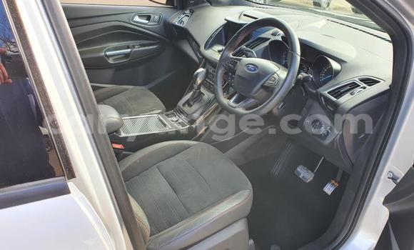 Acheter Occasion Voiture Ford Kuga Gris à Windhoek, Namibie Acheter Occasion Voiture Ford Kuga Gris à Windhoek, Namibie