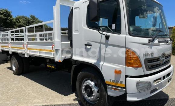 Buy Used Hino 300 Series White Truck in Gobabis in Omaheke Buy Used Hino 300 Series White Truck in Gobabis in Omaheke