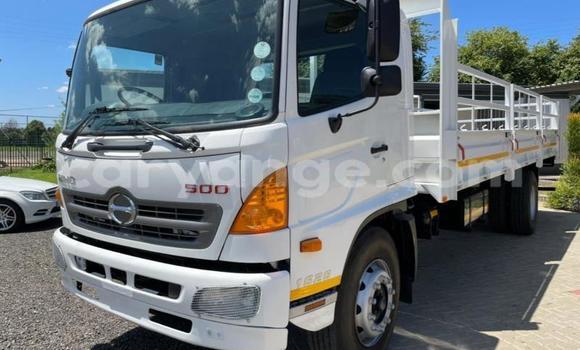 Buy Used Hino 300 Series White Truck in Gobabis in Omaheke Buy Used Hino 300 Series White Truck in Gobabis in Omaheke