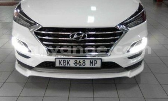 Buy Used Volkswagen Tiguan White Car in Windhoek in Namibia Buy Used Volkswagen Tiguan White Car in Windhoek in Namibia