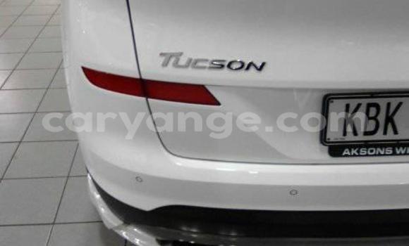 Buy Used Volkswagen Tiguan White Car in Windhoek in Namibia Buy Used Volkswagen Tiguan White Car in Windhoek in Namibia