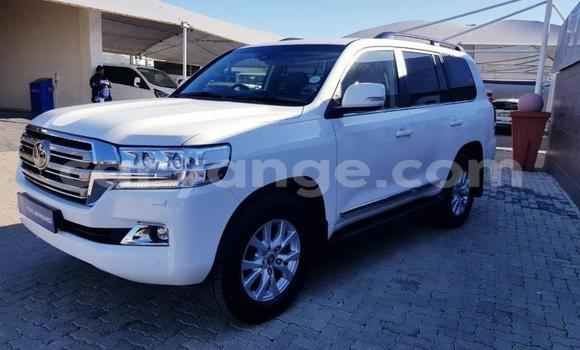 Buy Used Toyota Land Cruiser White Car in Windhoek in Namibia Buy Used Toyota Land Cruiser White Car in Windhoek in Namibia