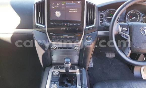 Buy Used Toyota Land Cruiser White Car in Windhoek in Namibia Buy Used Toyota Land Cruiser White Car in Windhoek in Namibia