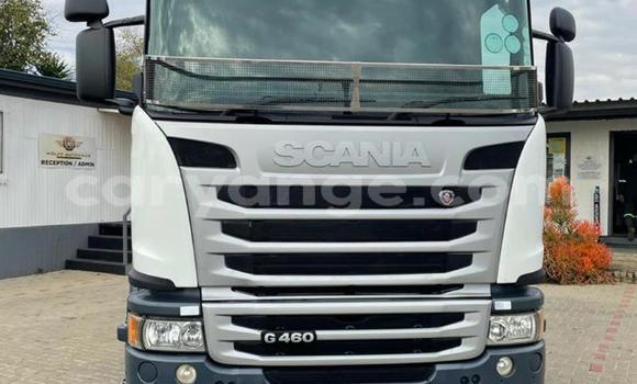 Buy Used Scania R470 White Truck in Windhoek in Namibia