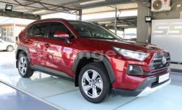 Acheter Occasion Voiture Toyota RAV4 Autre à Windhoek, Namibie