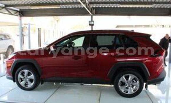 Buy Used Toyota RAV4 Other Car in Windhoek in Namibia Buy Used Toyota RAV4 Other Car in Windhoek in Namibia