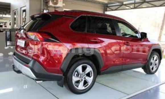 Buy Used Toyota RAV4 Other Car in Windhoek in Namibia Buy Used Toyota RAV4 Other Car in Windhoek in Namibia
