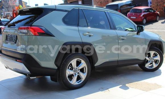 Buy Used Toyota RAV4 Other Car in Leonardville in Omaheke