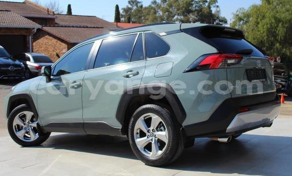 Buy Used Toyota RAV4 Other Car in Leonardville in Omaheke Buy Used Toyota RAV4 Other Car in Leonardville in Omaheke