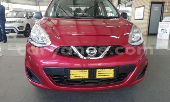 Buy Used Nissan Micra Red Car in Windhoek in Namibia