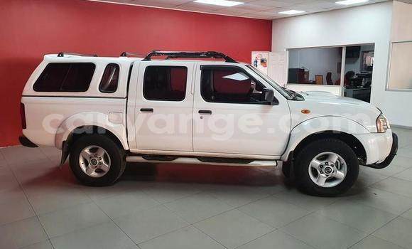 Buy Used Nissan NP 300 White Car in Windhoek in Namibia Buy Used Nissan NP 300 White Car in Windhoek in Namibia